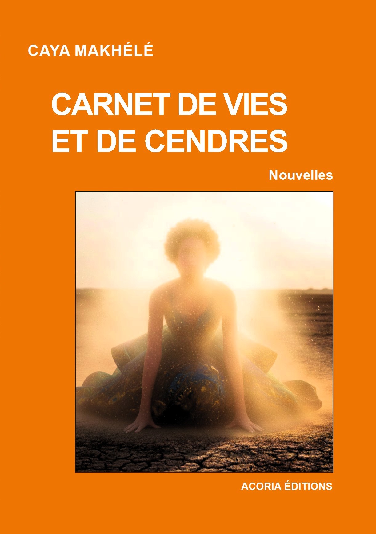 Carnet de vies et de cendres